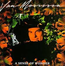 Van Morrison-A Sense Of Wonder LP 1984 Mercury UK